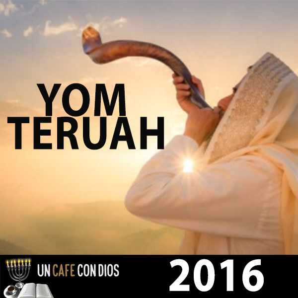YT 2016