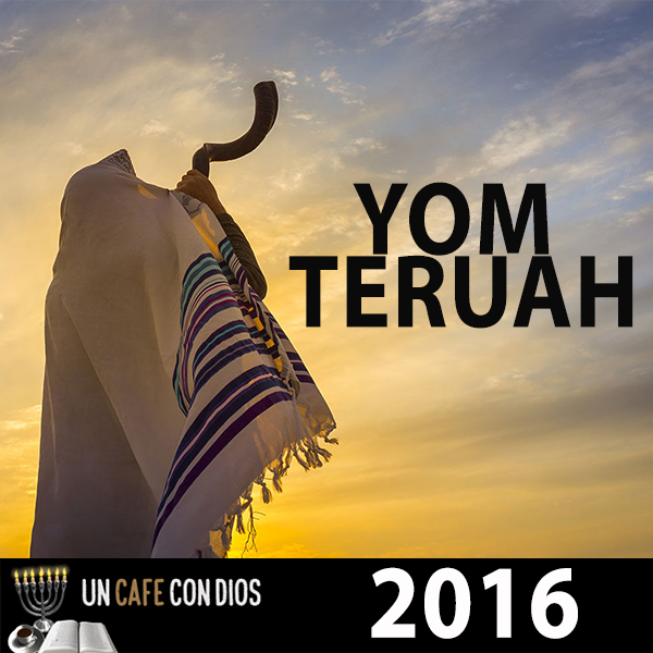 YT2016 2