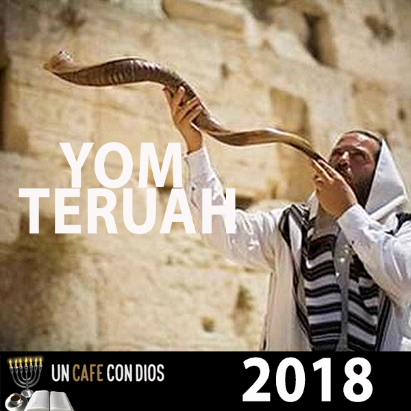 YT2018 th